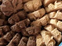 -珍妮曲奇聪明小熊(尖沙咀店)