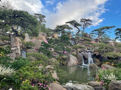 -罗红摄影艺术馆