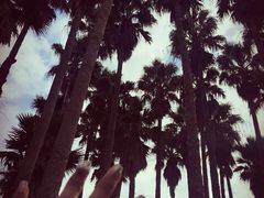 -龙头岩(Dragon Head Rock)