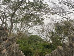 -小南山公园