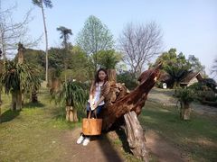 -南山植物园