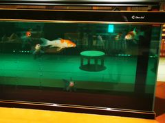 -大江户·温泉洗浴(浑南店)