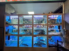 -石锅苗苗鱼(武汉首店)