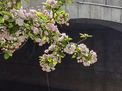 -海棠花溪(元大都城垣遗址公园)