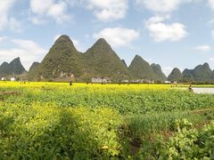 -村上春树