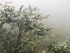 -江郎山风景名胜区