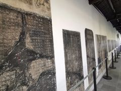 -汇龙潭