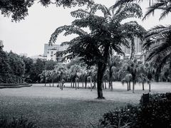 -东风公园