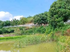 -杭州屏风山越野车营地·团建别墅轰趴民宿