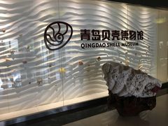 -青岛贝壳博物馆