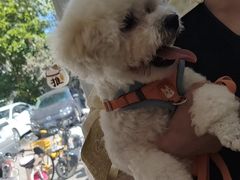 -宠福鑫康馨动物医院·骨科·眼科