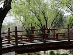 -元大都城垣遗址公园