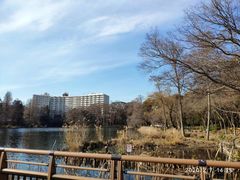 -三鹰之森吉卜力美术馆