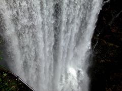 -东天目山风景区