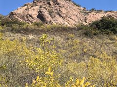 -红山国家森林公园