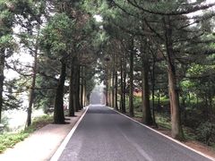 -南岳衡山风景名胜区