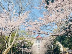 -南京林业大学-图书馆