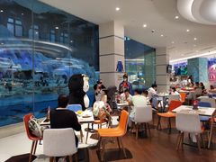 大堂-帝企鹅自助餐厅•儿童岛•真企鹅(长隆企鹅酒店)