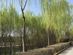 -西安汉城湖景区