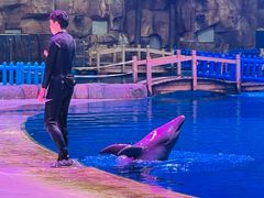 -华夏文旅海洋公园