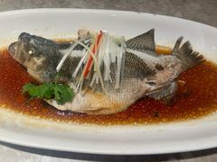 -红杏酒家·地道川菜(一品天下店)