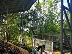 -清迈夜间动物园