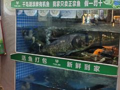 -全乐鱼馆·淳牌有机鱼直营店