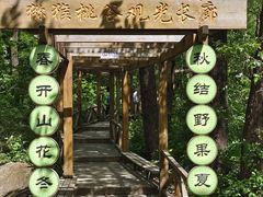 -大岭沟猕猴桃谷风景区