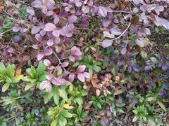 -家乐福(川沙店)