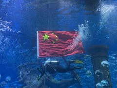 -波塞冬海底世界