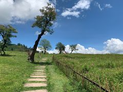 -硗碛藏寨·神木垒景区