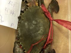 签到图片-石头咕(葵蓬店)