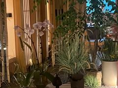 -梅间堂茶馆(绿地缤纷城店)