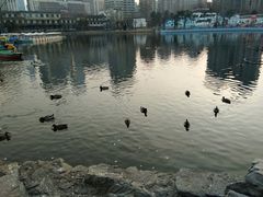 -团结湖公园