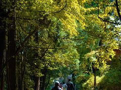 -金堂县云顶石城风景区