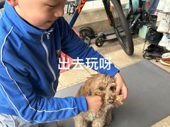 -多乐狗狗宠物训练工作室