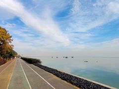 -贡湖湾湿地公园