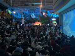 -海合安成都极地海洋公园