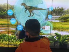-自贡恐龙博物馆