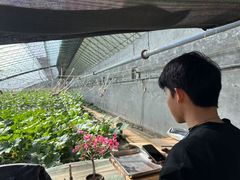 -大连北马山庄
