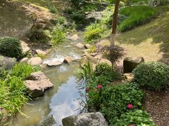-新洲生态园