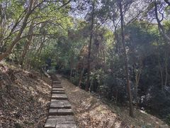 -采石矶景区