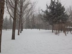 -迎泽公园