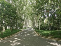 -河南省黄河迎宾馆