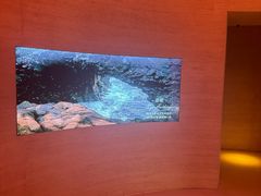 -舒小悦·舒养SPA·古法推拿(光环中心店)