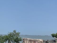 -上海滨江森林公园