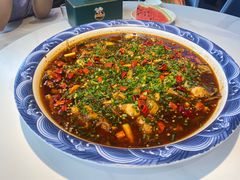 -新概念来凤鱼(璧山店)