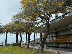 -智住·海景公寓(小径湾店)