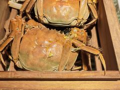 -桂满陇·桃花院落(长泰广场店)