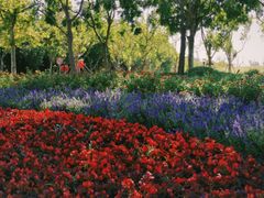 -上海山野camping·户外天幕烧烤·团建拓展营地